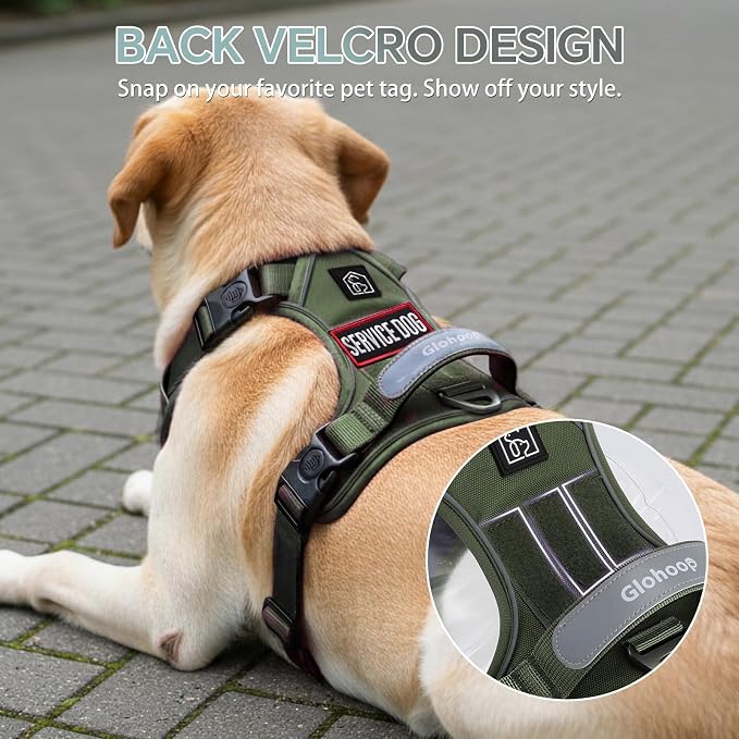 Heavy Duty Tactical Dog Harness for Medium Dogs, No Pull Dog Harness with Handle & Front Clip, Reflective Soft Padded, Hook and Loop Panel, Dog Vest for Walking, Service Training, Army Green