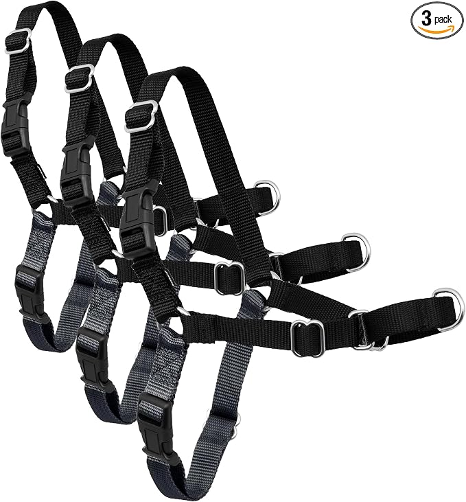 PetSafe Easy Walk No-Pull Dog Harness-Ultimate Harness to Help Stop Pulling -Pull-Free Walks-Control & Teach Better Leash Manners-Patented Martingale Loop Design-Charcoal Gray,Small/Medium (Pack of 3)