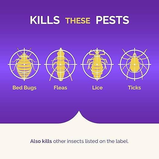 Hot Shot BedBug And Flea Fogger 3 Count-2 Ounce Cans, With Nylar, Inhibits Flea Reinfestation, 6 Pack