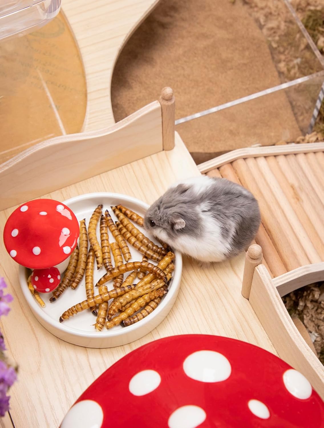 Niteangel Small Animal Snack & Treats - Small Critter Natural Treat for Dwarf Syrian Hamsters Gerbils Mice Sugar Glider Hedgehogs Chickens Birds (Dried Worms- 0.9oz (25g))