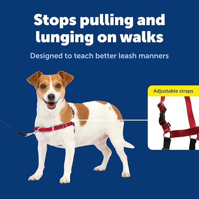 PetSafe Easy Walk Harness, No Pull Dog Harness, Red, Small | Patented Martingale Loop Gives Gradual Shoulder Pressure to Stop Pulling, Front-Chest Leash Clip Prevents Gagging