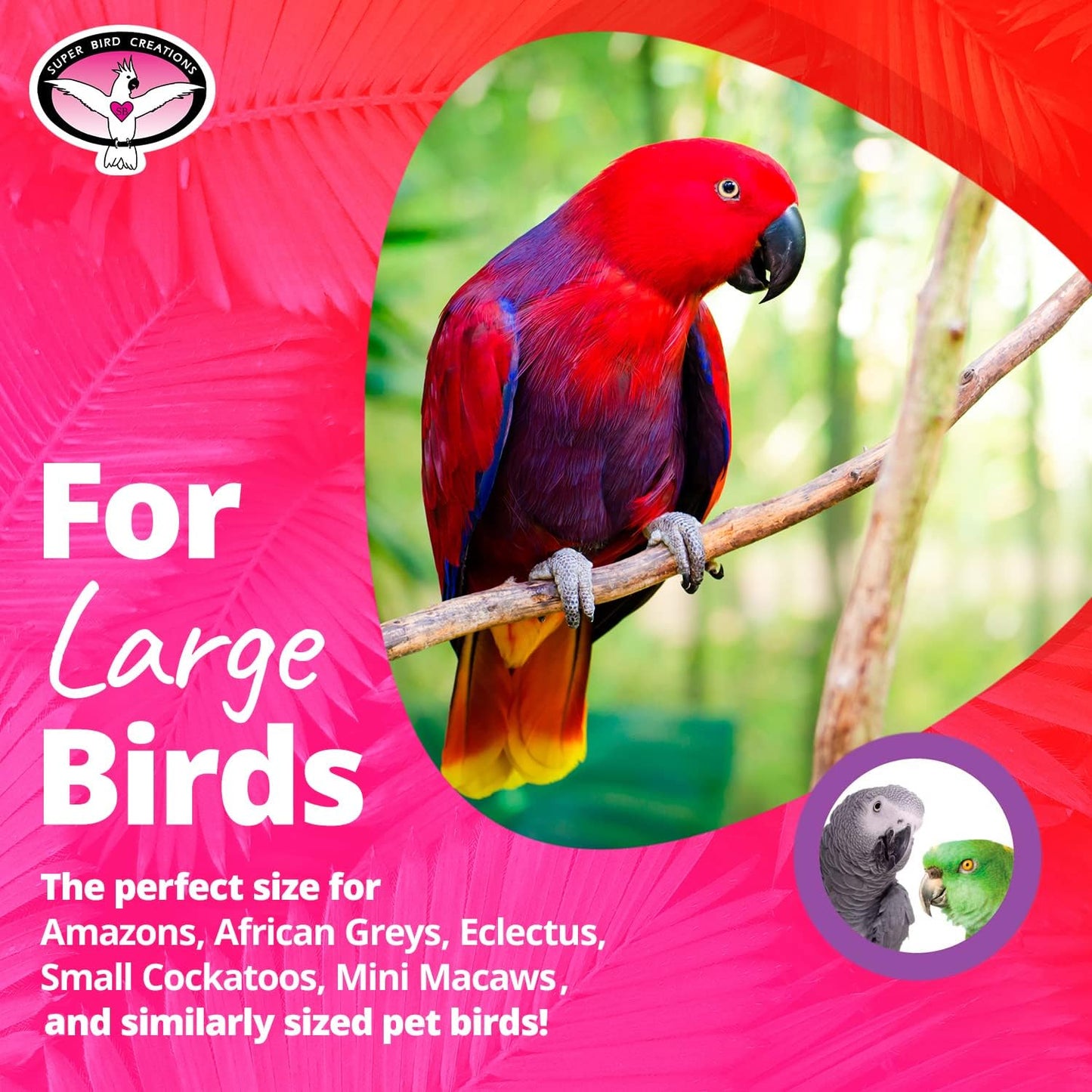 Super Bird Creations SB1153 Sure-Grip Grooming Perch Large, Medium/Large Bird Size - Enriches Beak and Foot Health - Ideal for Parrots Parakeets Quakers -Large Bird Size, 1 1/4" diam x 12" (Large)