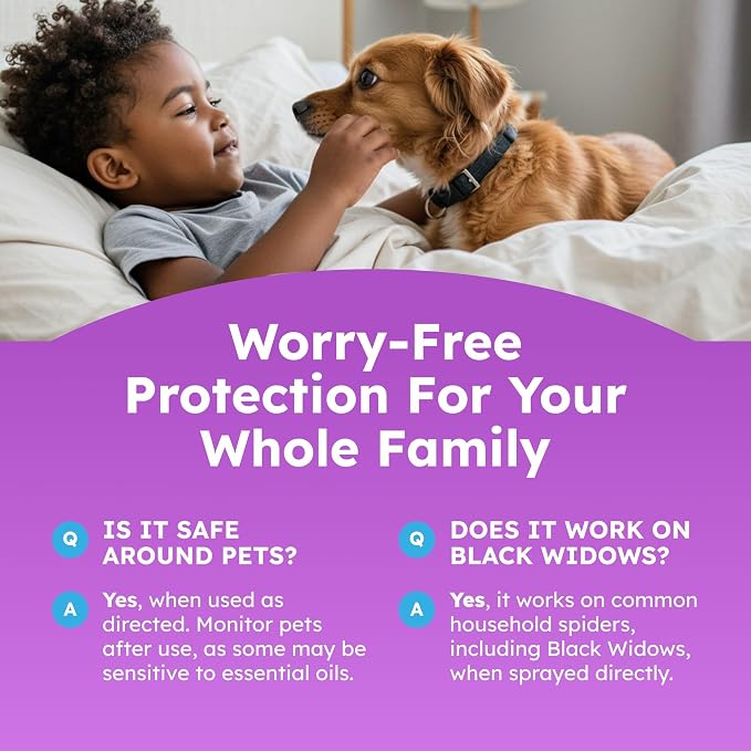 BugMD Pet Safe Spider Repellent Indoor & Outdoor Spray | Natural Spider & Mite Killer with Peppermint Oil to Create a Pest-Free Home - 16oz (Pack of 2)