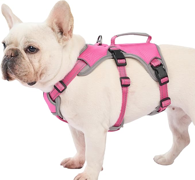 Escape Proof Dog Harness, Dachshund Harness, Reflective Dog Harness with Handle, Durable,Adjustable Vest for Small Medium Large Dogs Walking, Training, and Running Gear (Rose red,M)