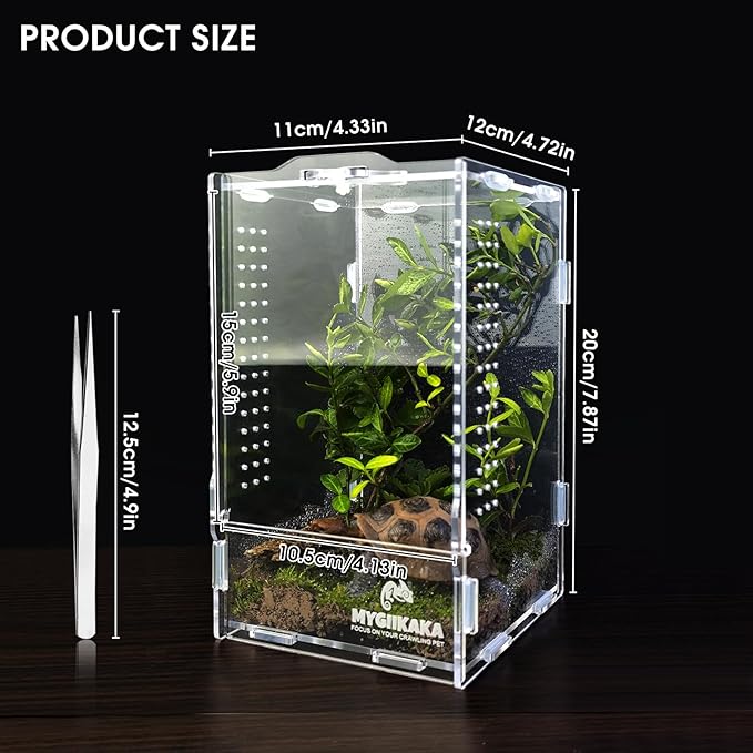 Acrylic Jumping Spider Habitat, Insect Terrarium, Bug Enclosure, Praying Mantis Habitat, Frog Enclosure