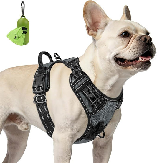 Joytale No Pull Dog Harness for Small Dogs, Front Clip, Gray | Grab Handle for Instant Control, Padded & Adjustable Vest, Sturdy Metal D-Rings, for Safe Training & Daily Walking