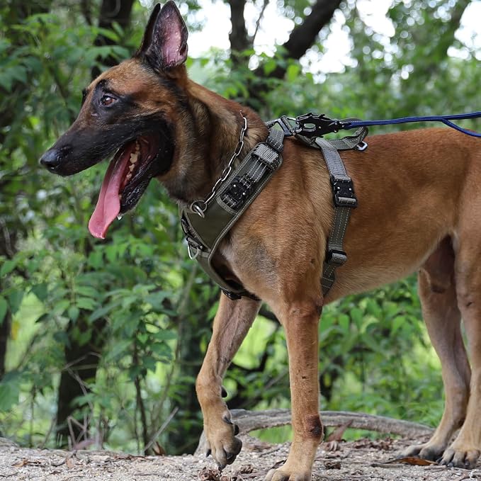 ICEFANG Dog Halter Harness with Metal Buckles,Dog Strap Vest for Large Dogs | Control Handle,Summer-Cooling,Reflective,Front Hook,Adjustable,Soft Padded,No Pull,Green,Large