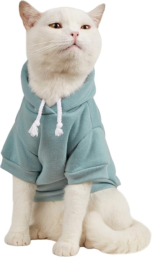 QWINEE Basic Dog Hoodie Sweatshirt Puppy Sweater Warm Cat Costumes Pet Clothes for Chihuahua Puppy Kitten Small Medium Dogs Cadet Blue XX-Large