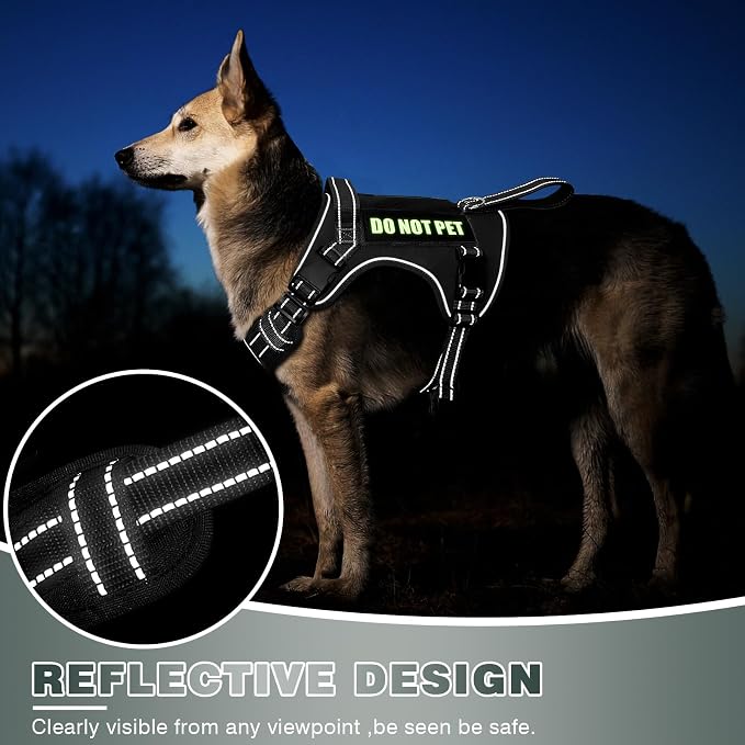 Tactical Dog Harness, No Pull Dog Harness for Medium Large Dogs with Handle & Molle, Military Service Dog Vest Harness in Training Pet Harness for Small Dogs