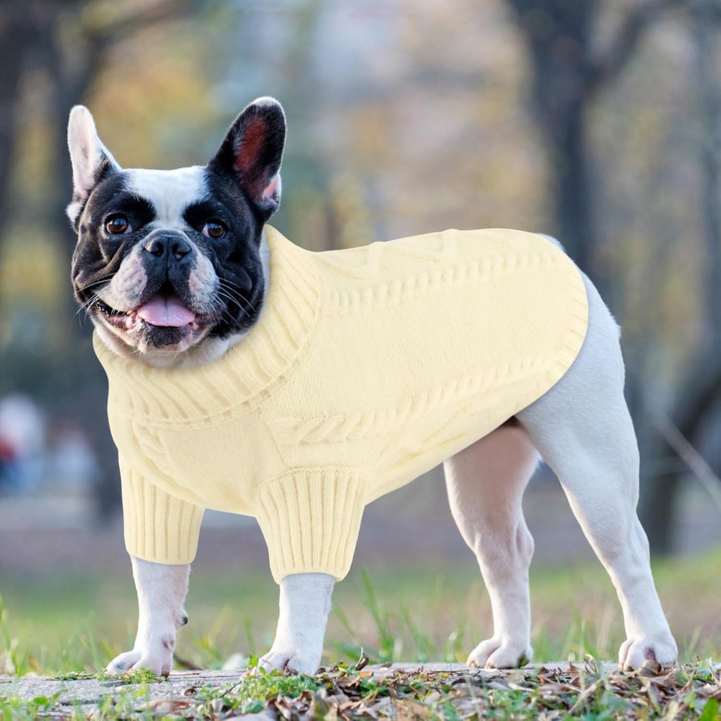 Queenmore Small Dog Pullover Sweater, Cold Weather Cable Knitwear, Classic Turtleneck Thick Warm Clothes for Chihuahua, Bulldog, Dachshund, Pug (White, Small)