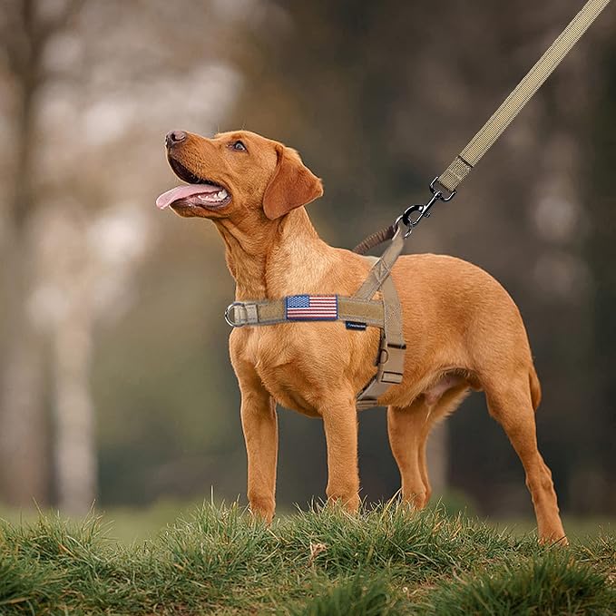 Annchwool No Pull Dog Harness with Soft Padded Handle,Reflective Strip Escape Proof and Quick Fit to Adjust Dog Harness,Easy for Training Walking for Small & Medium and Large Dogs(Brown,L)