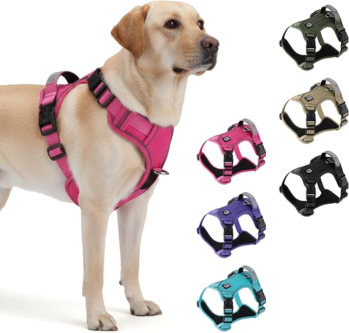 Heavy Duty Tactical Dog Harness for Small Dogs, No Pull Dog Harness with Handle & Front Clip, Reflective Soft Padded, Hook and Loop Panel, Dog Vest for Walking, Service Training, Hotpink
