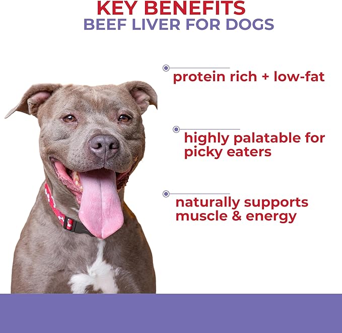 Momentum Carnivore Nutrition Freeze-Dried Beef Liver Dog Treats & Cat Treats – Single-Ingredient, High-Protein, Grain-Free, Nutrient-Rich – Made in USA – 4 oz Bag