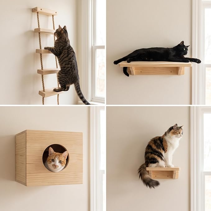 with Shelves for Climbing and Play, Hard Ladder
