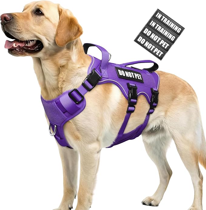 Escape Proof Dog Harness with Double Handle+4 Removable Patches | Service Working Molle Harness with Double Handle for Large Dogs, Tactical Pet Reflective Vest for Walking Hiking Hunting