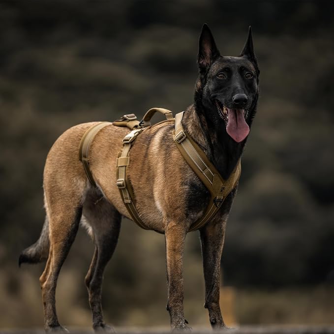 OneTigris Dog Harness No Pull, Adjustable Tactical Harness with Soft Padding, Y-Shaped Reflective Easy Walk Dog Harness for Medium and Large Dogs