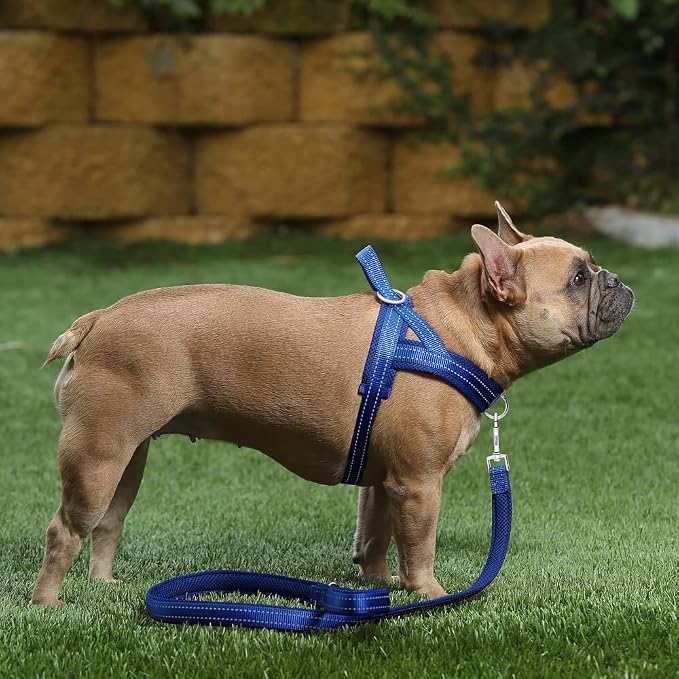 Plutus Pet No Pull Dog Harness for Medium Sized Dog, Breathable Mesh Padded | Adjustable Reflective with Handle, Escape Proof, Quick Fit Pet Vest, Front Clip, for Training and Walking, Royal Blue, M