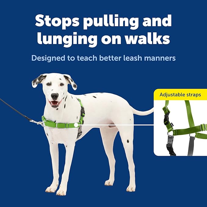 PetSafe Easy Walk Harness, No Pull Dog Harness, Apple Green, Medium/Large | Patented Martingale Loop Gives Gradual Shoulder Pressure to Stop Pulling, Front-Chest Leash Clip Prevents Gagging
