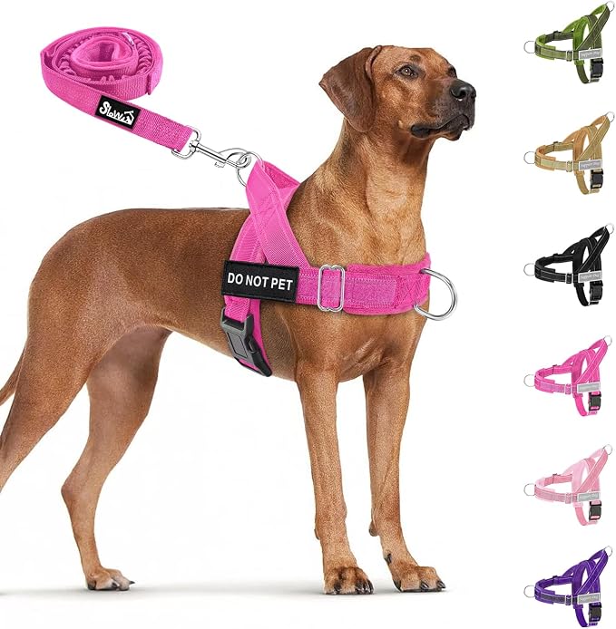 SlowTon No Pull Dog Harness with Front Clip - Heavy Duty, Soft Padded | Neck & Chest Adjustable, Tactical Pet Vest and Leash Set for Large Medium Sized Dogs, for Easy Walk & Training, Fuchsia L
