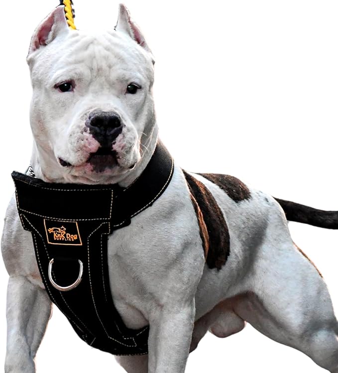 KNK | Heavy Duty Dog Harness for Pitbulls, Bullies and Large Breeds - No Pull, Ultra Durable, Soft Padded Chest, Metal Leash Attachment