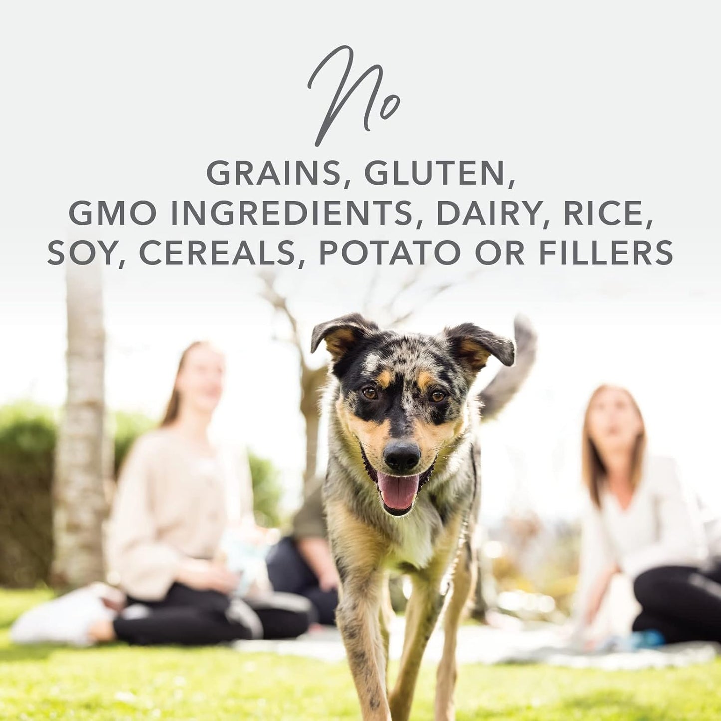 K9 Natural - Grain Free Freeze Dried Dog Food - Lamb & Salmon, 17.6oz