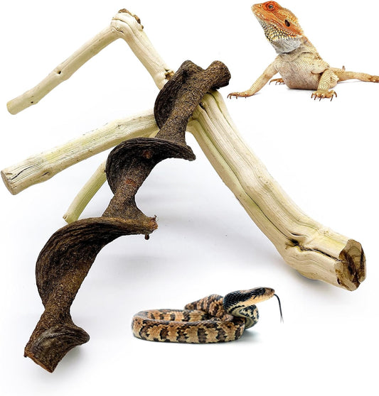 BNOSDM Reptile Branches, 12-14inch Snake Climbing Branch, Terrarium Wood Branch Decor, Bearded Dragon Tank Climbing Accessories for Lizard, Gecko, Chameleon, Frog, 2Pcs