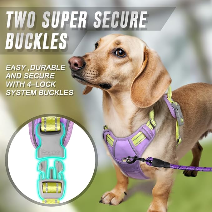 BARKBAY Dog Harness No Pull for Small Sized Dog Front Back Clips,Dog Vest | Soft Padded No Choke With Handle,Easy On&Off,Adjustable Reflective For Walking Training Running(Violet Purple & Sunlight,S)