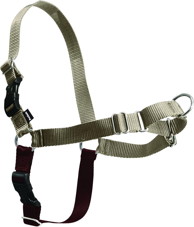 PetSafe Easy Walk Harness, No Pull Dog Harness, Fawn, Small/Medium | Patented Martingale Loop Gives Gradual Shoulder Pressure to Stop Pulling, Front-Chest Leash Clip Prevents Gagging