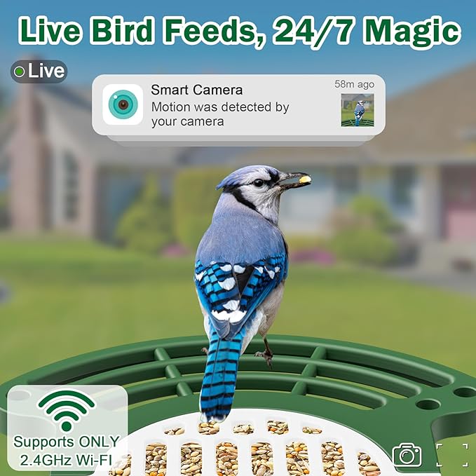 Jarkyfine Smart Bird Feeder with Camera Solar Powered - AI Bird Identification, 2.4Ghz WiFi, 2K HD Video Live Stream Camera, 3MP Photos, 2.9in Focus, Gifts for Mom Dad Birdlovers, Green