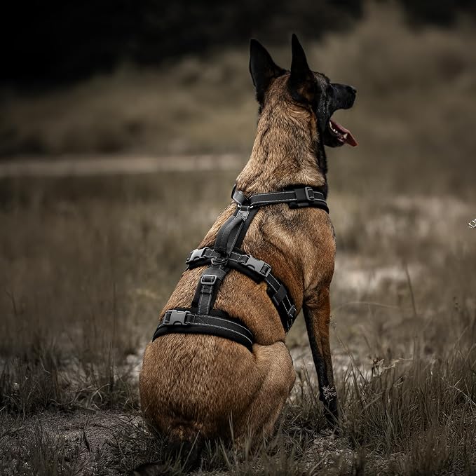 OneTigris Dog Harness No Pull Adjustable Tactical Harness with Soft Padding | Y-Shaped Reflective High-tensile Nylon, 1 Handle, 3 D-rings Easy Walk Dog Harness for Medium Large Dogs Easy on/off Tactical