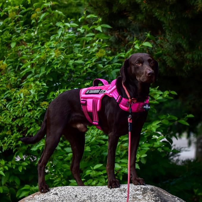 Dog Harness for Large Dogs, No Pull Tactical Vest with Front Clips | Easy Contrl Handle, Breathable Soft Padded, Adjustable, Reflective, Heavy Duty, Easy Take On & Off, Pink X-Large