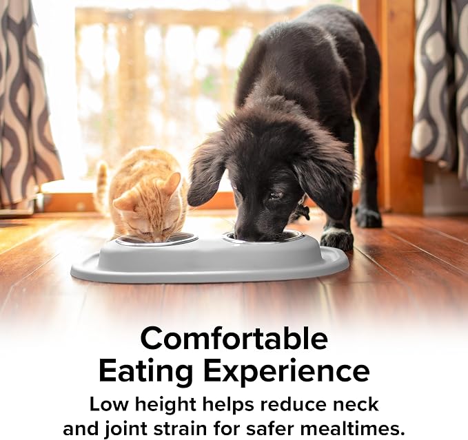 WeatherTech Double Low Pet Feeding System - Compact and Portable Dog/Cat Food and Water Station - 16 oz (2 Cups) Tan (DL1602TN)