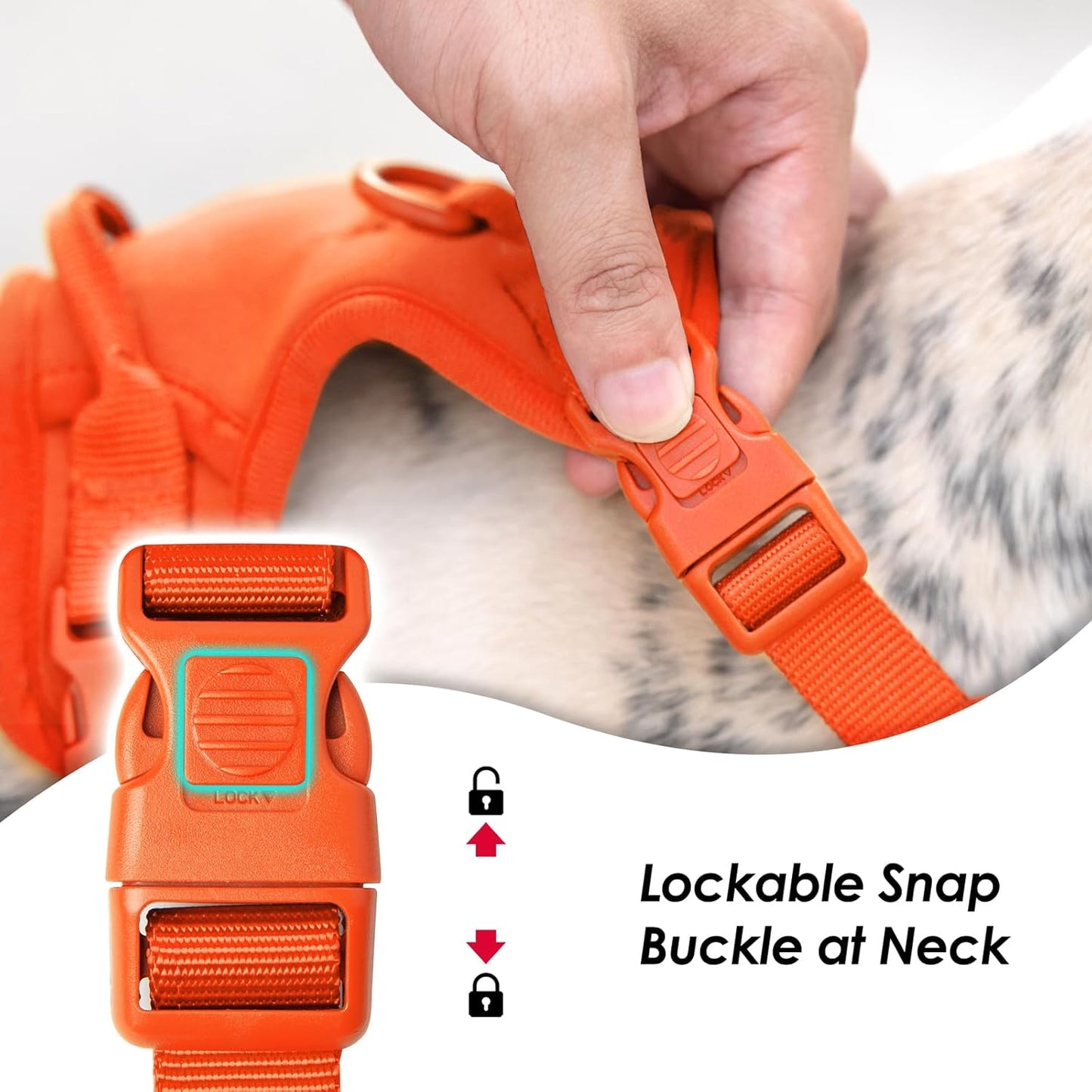 No Pull Dog Harness, Puppy Vest with Front Clip for Small Medium Large Sized Dog(Orange,M)