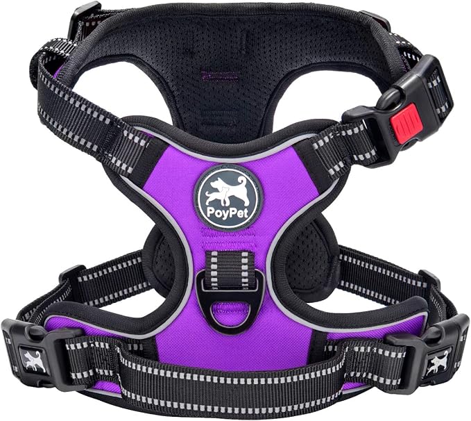 PoyPet No Pull Dog Harness Small with Front Clip & Neck Release Buckle | No Choke, Adjustable Vest, Reflective, Back Clip, Lockable, Soft Padded, Easy Control Handle for Walking Training, S, Purple