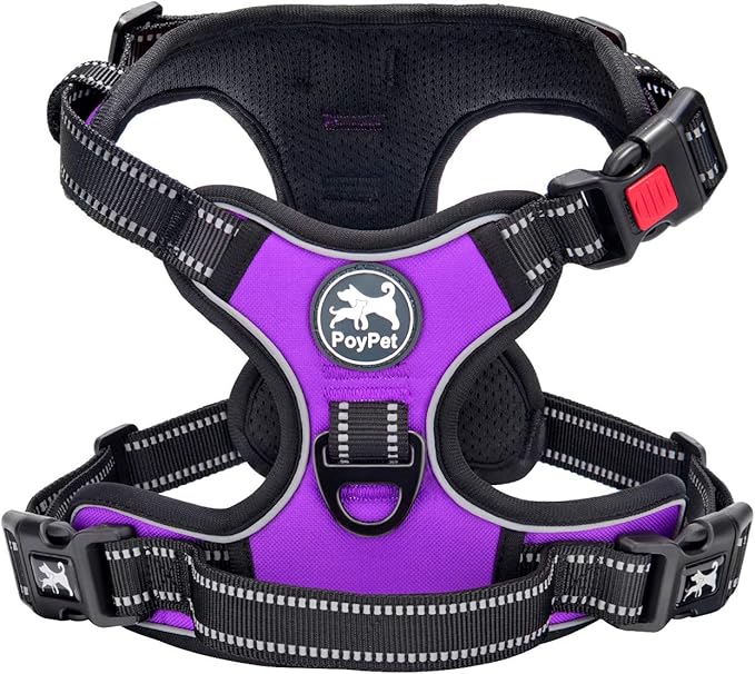 PoyPet No Pull Dog Harness Small with Front Clip & Neck Release Buckle | No Choke, Adjustable Vest, Reflective, Back Clip, Lockable, Soft Padded, Easy Control Handle for Walking Training, XS, Purple