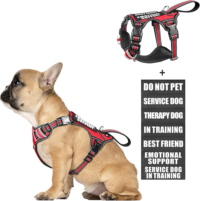 Service Dog Vest No Pull Dog Harness with 7 Dog Patches, Reflective Pet Harness with Durable Soft Padded Handle for Training Small, Medium, Large, and Extra-Large Dogs (Small, Red)