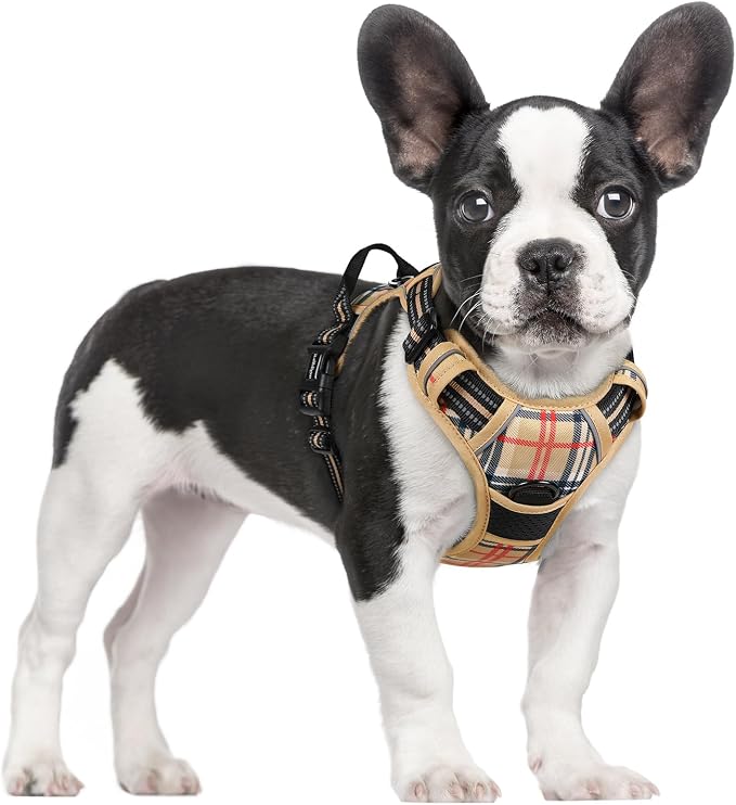 rabbitgoo Dog Harness, No Pull for Small Dogs with 2 Leash Clips, Pet Vest | No Choke with Handle, Adjustable Soft Padded, Reflective, Easy Control for Walking, Beige Plaid, Small