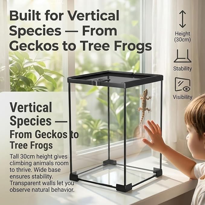 8x8x12 Terrarium Glass Tarantula Enclosure: Full View Stackable Tank | Jumping Spider Enclosure with Lockable Sliding Screen Top for Crested Gecko Hermit Crab - Vertical Habitat for Arboreal Frog