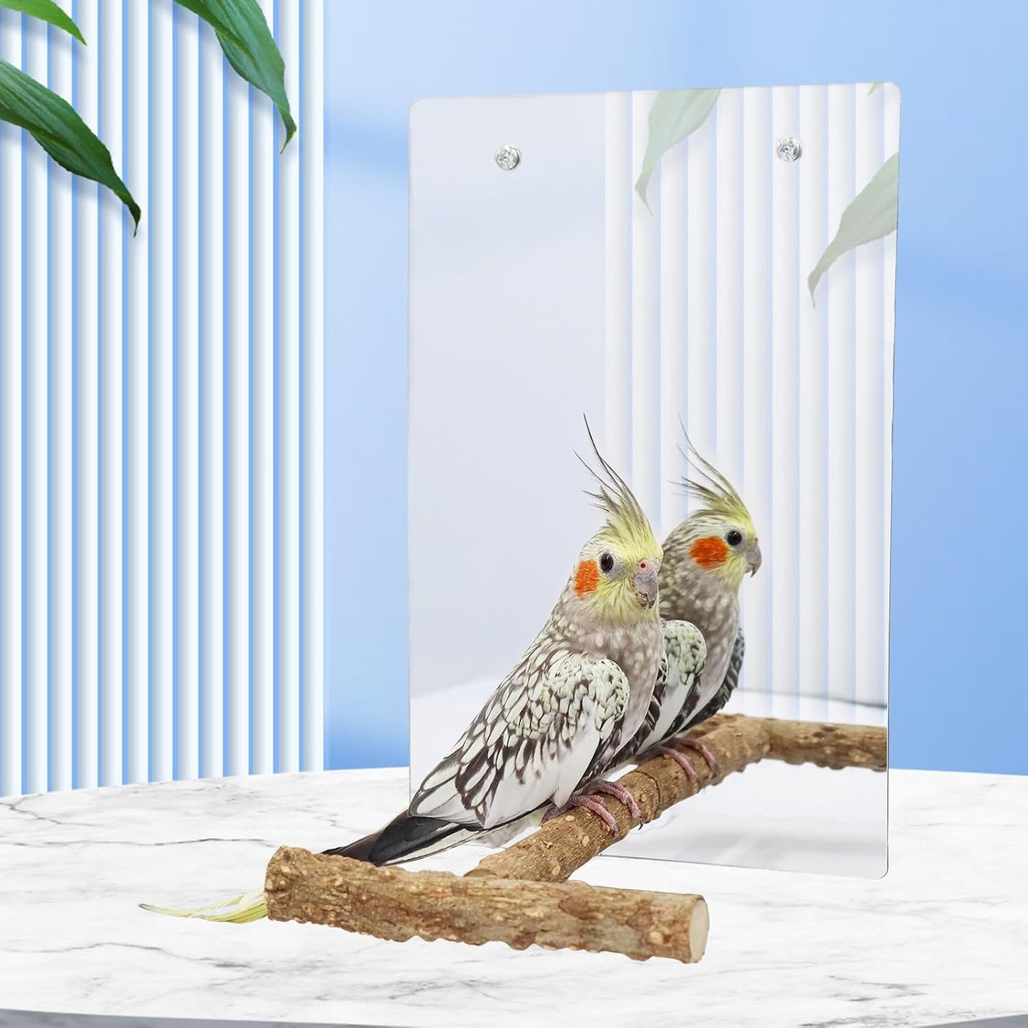 Bird Mirror Toy with Perch Stand, Parrot Parakeet Mirror with Bird Swing Bell Toys, Bird Cage Accessories, Suitable for Parakeet Cockatiel Conure Lovebirds - 7.9 × 6.3 Inch