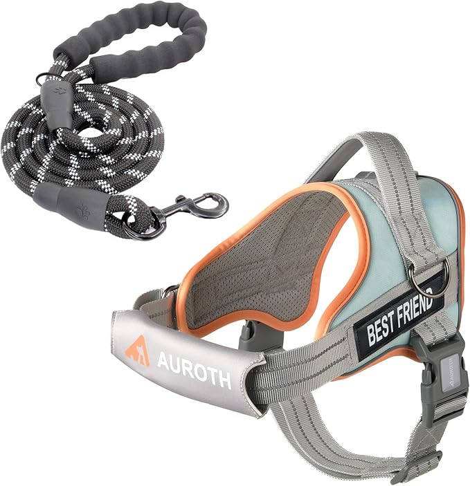 AUROTH Dog Harness and Leash Set Small Sized Dog, No Pull Escape Proof Vest | with Leash Clips, LED light clip, Breathable Mesh Padded No Choke, Easy Walking and Training, Macaron Blue, Small