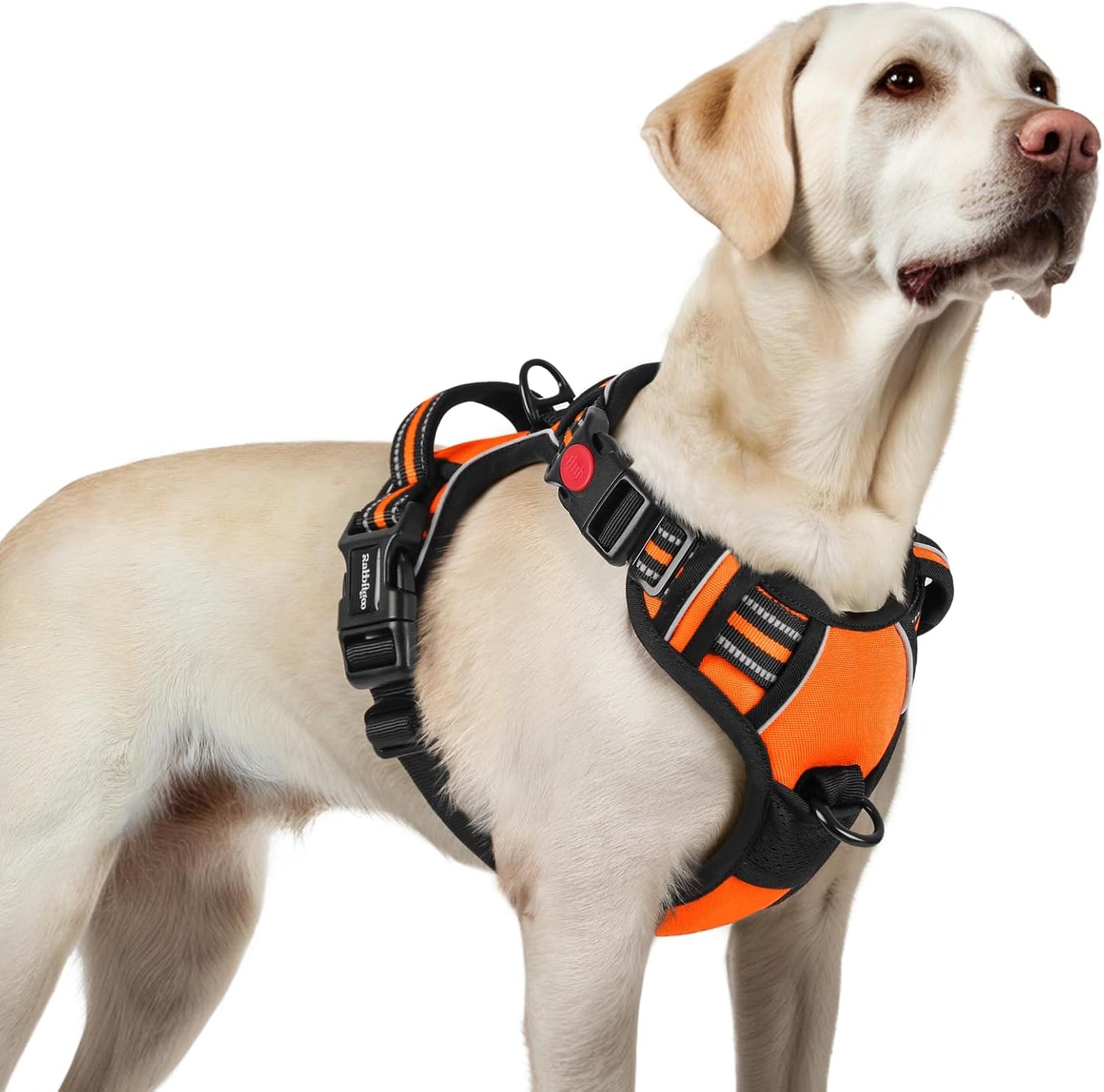 rabbitgoo Dog Harness for Large, No Pull Pet Harness with 3 Buckles, Adjustable Soft Padded Vest with Control Handle, Walking Reflective Pet Vest for Large Dogs, Orange, L