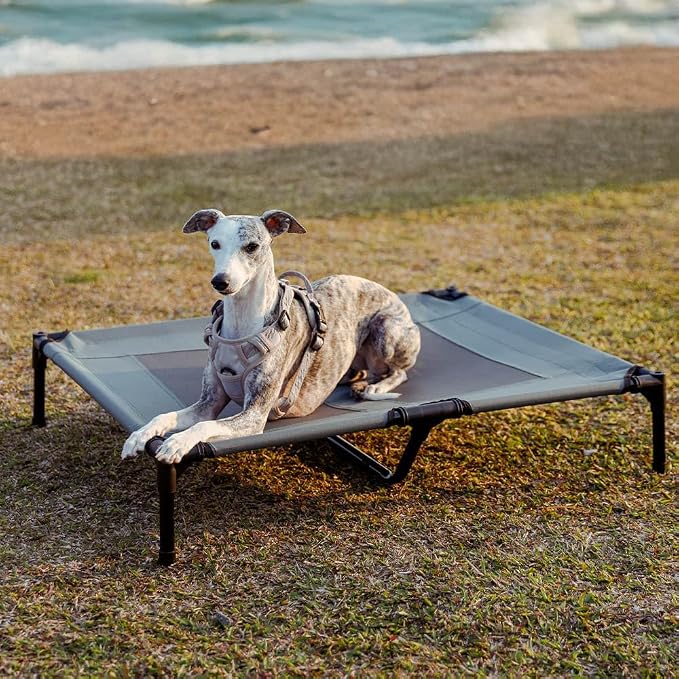 Outdoor Elevated Dog Bed with Canopy for Medium Dog, 36" Grey | Portable Raised Camping Pet Cot Hammock,Breathable Teslin Mesh,Weather Resistant,For Medium Pet Up to 55 lbs,Easy to Assemble