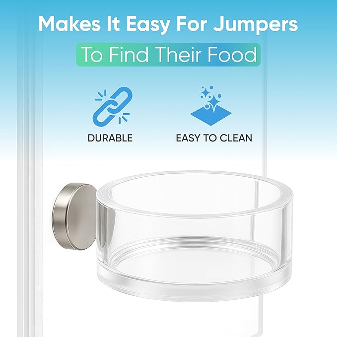 EctoTherm Jumping Spider Feeding Dish and Food Dish - Terrarium Decor, Magnetic Feeding Ledge - Essential Accessories for Pet Jumpers