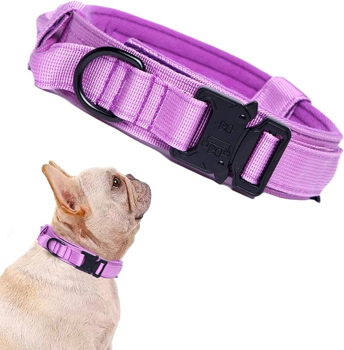 Tactical Dog Collar for Large Dogs with Control Handle,Purple,S | 1000D Heavy-Duty Nylon Fabric,Quick-Release Metal Buckle,Adjustable Fit,Soft-Padded Webbing,D-Ring,for Training & Hiking