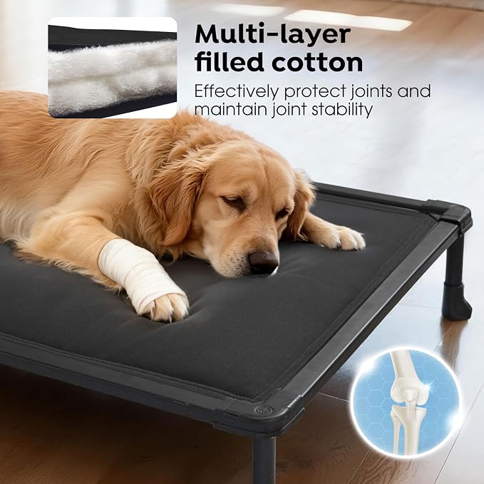 Veehoo Chew Proof Elevated Dog Bed, Padded Indestructible Raised Dog Cot | Orthopedic Dog Platform Bed with Soft Padded Mat, Durable Waterproof Pet Cot for Indoor, Outdoor or Crate, 41-Inch, Black