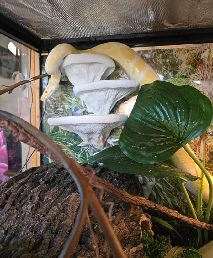 Mushroom Ledge for Terrarium – Climbing & Resting Platform with Suction Cups (Bone, 6''x4.5''x5.25'')