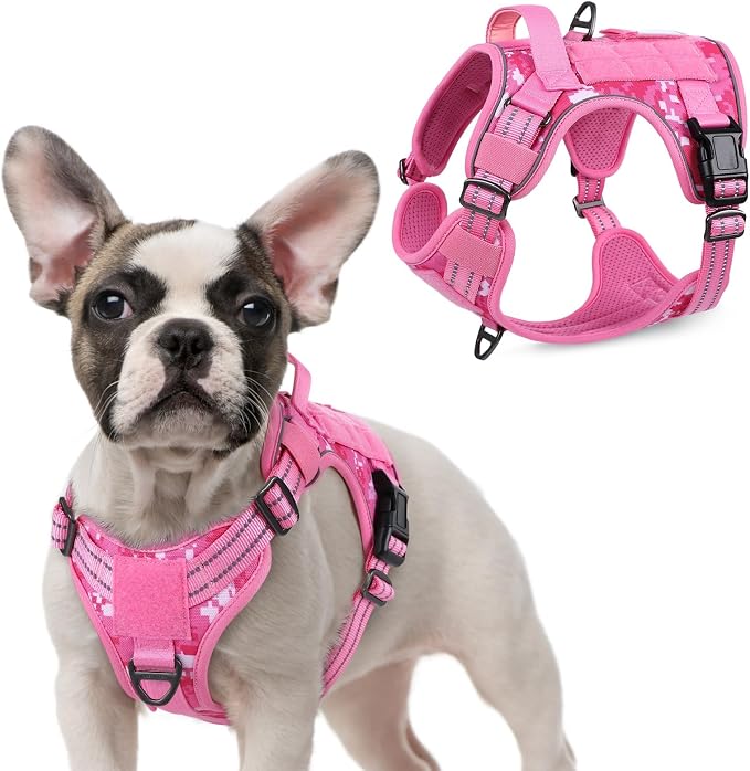 rabbitgoo Tactical Dog Harness for Small, No Pull Military Service Vest | Molle & Handle, Heavy Duty, Adjustable, Reflective Straps, Easy Control for Training Walking, Pink camo, Small