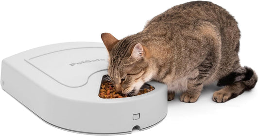 PetSafe Automatic Dog Feeder, 5 Meals, 40 oz Capacity, Plastic, for Dry Food, Multiple Pets
