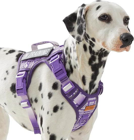 AUNZO Dog Vest Harness with 2 Patches, No Pull Dog Harness for Walking Training Hiking, Metal D-Rings Easy on/Off Neck Buckle Reflective Strips Soft Padded Handle, Purple