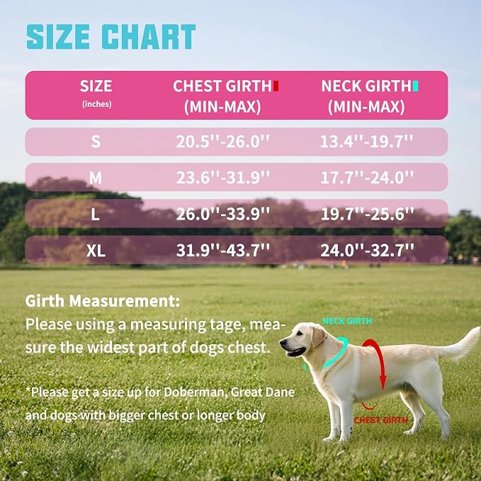 AUROTH Dog Harness and Leash Set Small Sized Dog, No Pull Escape Proof Vest | with Leash Clips, LED light clip, Breathable Mesh Padded No Choke, Easy Walking and Training, Rose Red, Small